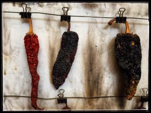 Dried Chiles of Mexico